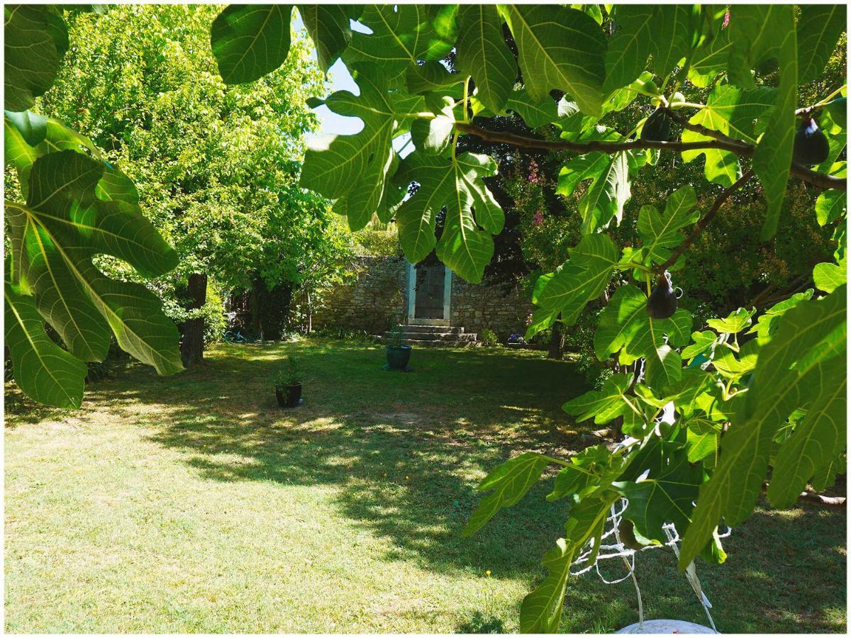 Chambre d'Hôte La Romaine Vaison-la-Romaine Extérieur photo